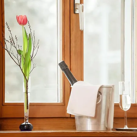 韦督塔酒店 2* 齐讷努斯谢尔